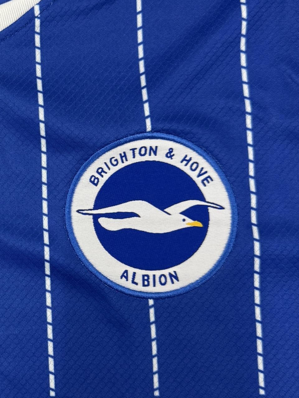 Brighton & Hove Albion 26/27 Home Shirt Short Sleeve