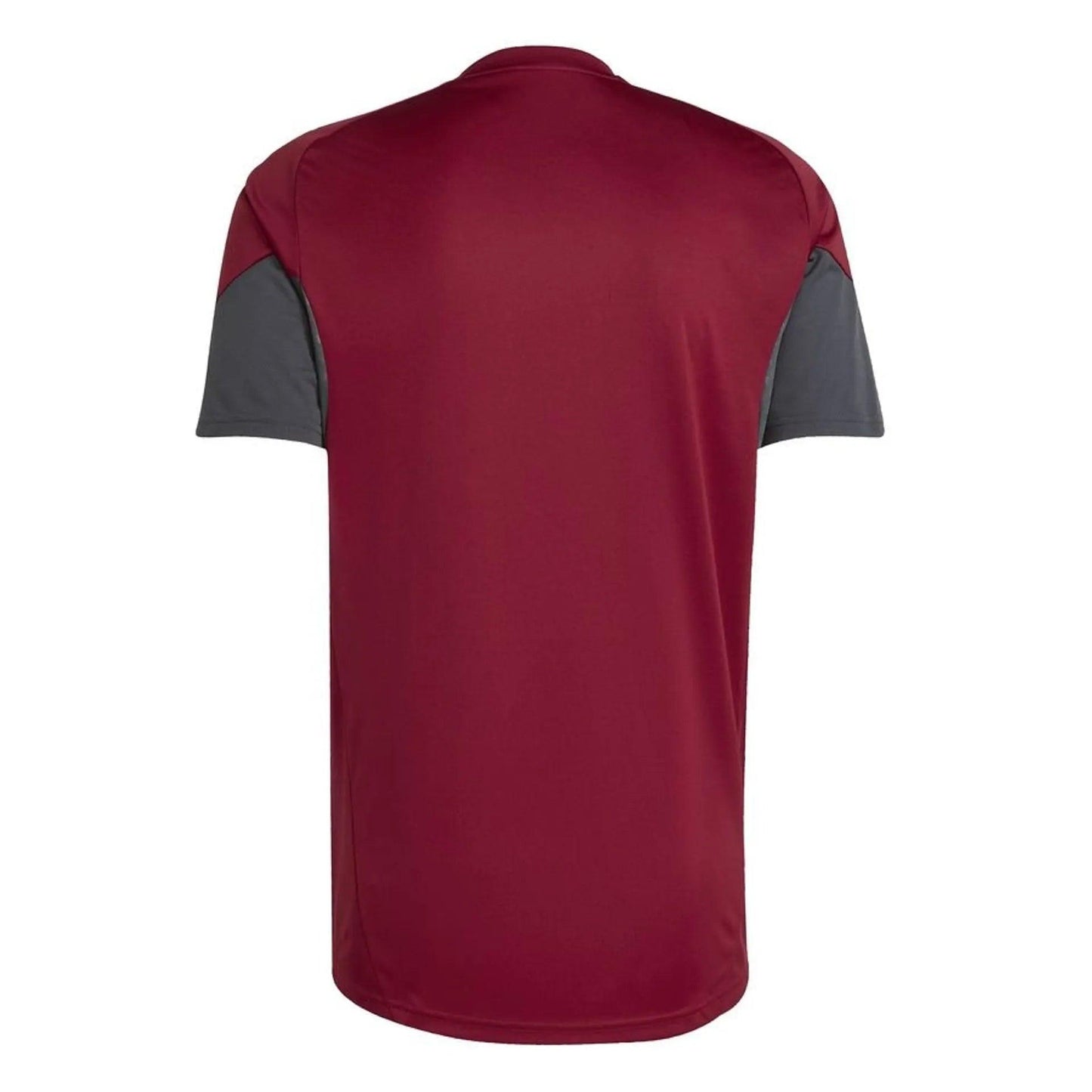Arsenal Tiro 25 Training Shirt Short Sleeve