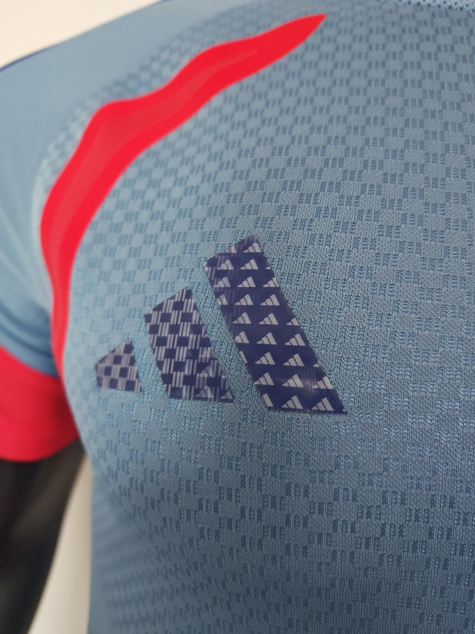 Japan 2026 World Cup Training Jersey Short Sleeve