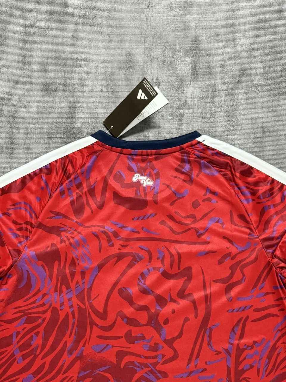 Costa Rica 2026 World Cup Home Shirt Short Sleeve