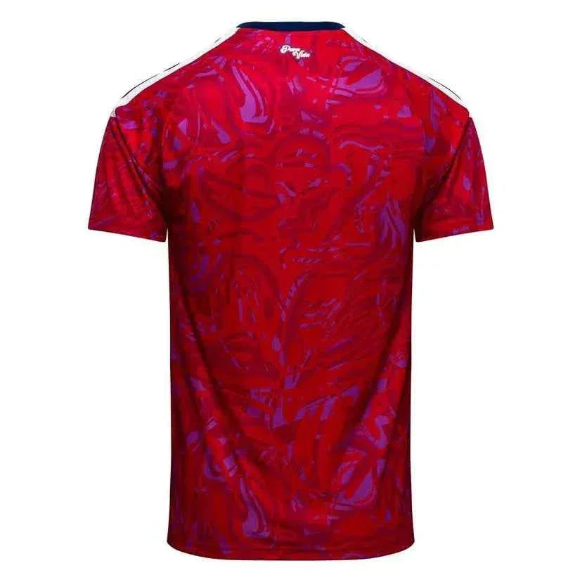Costa Rica 2026 World Cup Home Shirt Short Sleeve
