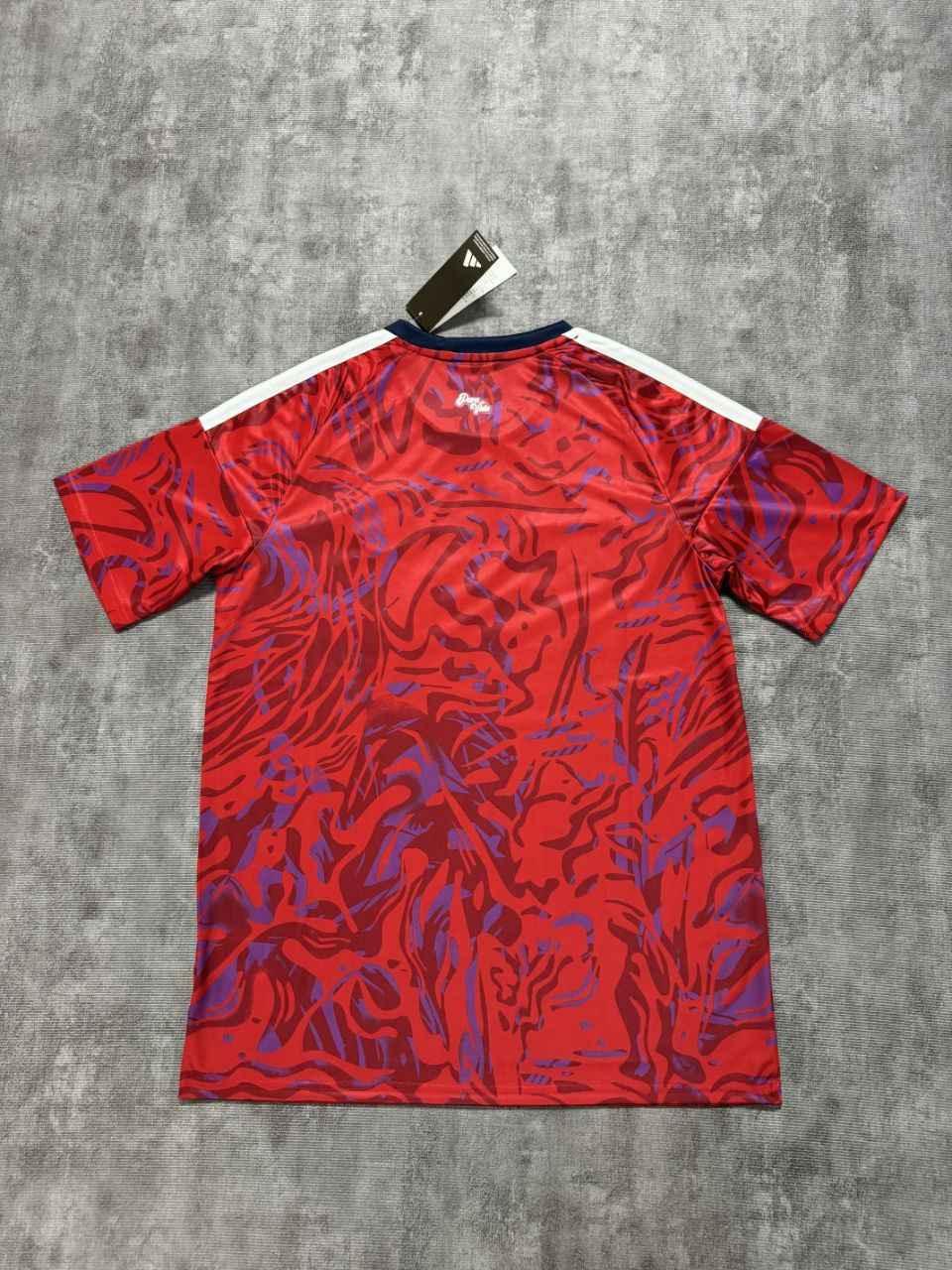Costa Rica 2026 World Cup Home Shirt Short Sleeve